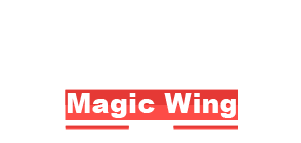 magic-wing-post